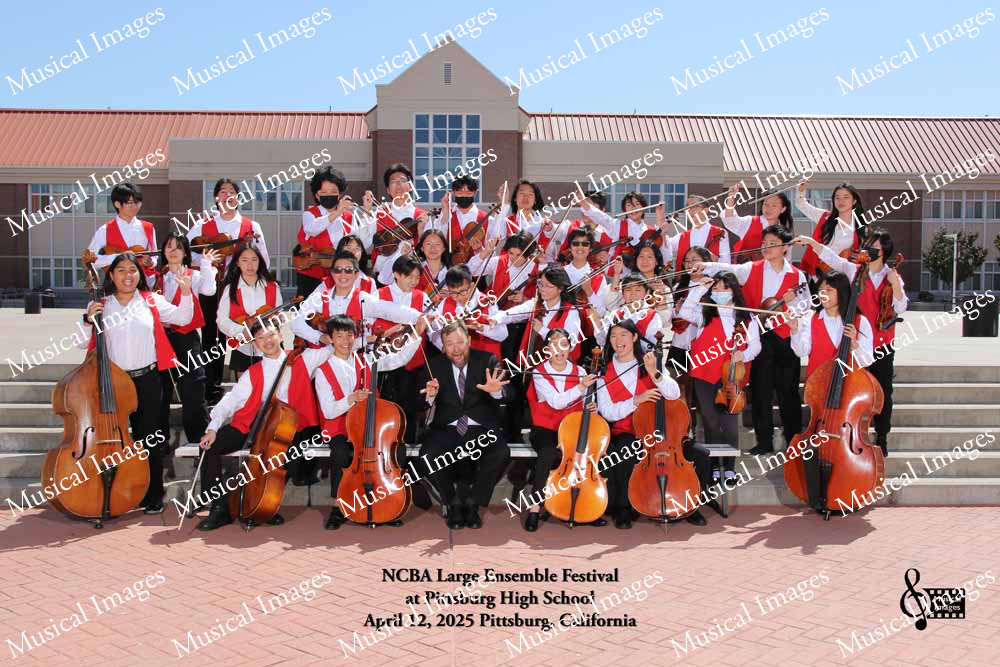 Musical Images